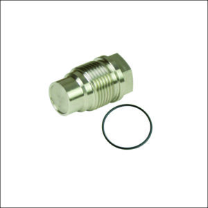 FUEL RAIL PLUG